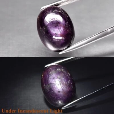 GLC Certified Huge 23.98Ct Natural Purple-Red 6Ray Star Ruby Oval Cab Gem See VD - Image 1 of 4