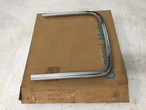 GM NOS 1983-1991 Chevy GMC G Van Faro derecho Bisel Moldura 14052294 - Imagen 1 de 7
