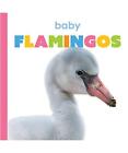 Baby Flamingos, Kate Riggs