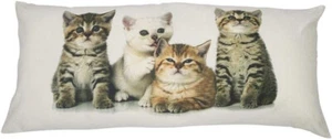 Kissen Dekokissen Katzen Katzenkinder 40 x 90cm - Bild 1 von 1