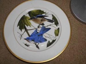 Plato John A Ruthven Edición Limitada Eastern Bluebird Wallace China Alemania - Imagen 1 de 2