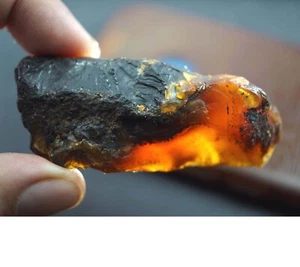 115,70 quilates miel natural ámbar báltico muestra sin tratar piedra preciosa áspera certificada - Imagen 1 de 6