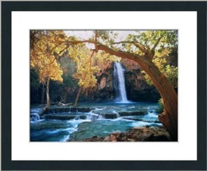 Waterfall Forest Poster Print Custom Gallery Framed - Picture 1 of 2