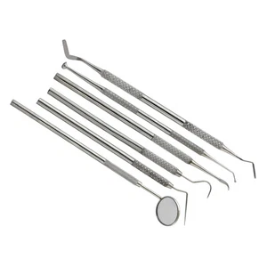 6 Kit Diagnostico Studenti, Esame Dentale Pulizia Pick Sonde Specchio PR-348 - Foto 1 di 4