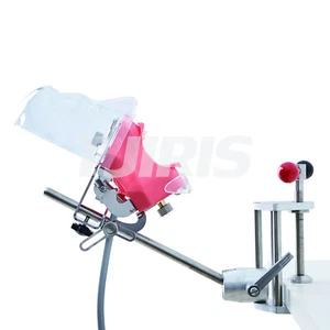 Dental Patient Simulator Adjustable Manikin Phantom Head Model Teeth Model - Picture 1 of 8
