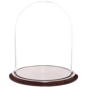 Plymor 11.75" x 15" Glass Display Dome Cloche (Walnut Base) - Picture 1 of 1