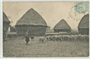 C.P.A / THÈME / EN BEAUCE / TROUPEAU DE MOUTONS - Imagen 1 de 1