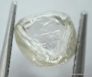 MINA DE DIAMANTES NATURALES H VVS2 - DIAMANTE REAL, DIAMANTE CRUDO, GEMA SIN CORTAR - Imagen 1 de 6