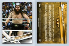 Killian Dain #172 WWE Then Now Forever 2017 Topps Card