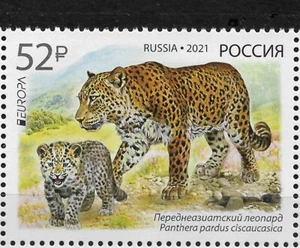 Russia 2021,Cats of Prey,Leopard with Cub, Endangered Wildlife,Europa Issue MNH - Picture 1 of 1