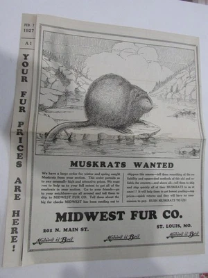 美国密苏里州圣路易斯中西部毛皮公司 原皮草价格表。 — 第 1/4 张图片