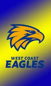 2017-2021 AFL Select West Coast Eagles Hilites - Picture 1 of 13
