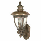 Platinum Gold And Clear Seed Glass Exterior Wall Light $210