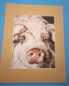 11" x 14" Matted 8" x 10" Close-up Portrait Print of a Big Farm Pig Hog - Picture 1 of 3