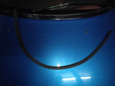 Sello cristal puerta exterior LOTUS ELAN M100 Foto 1 de 4