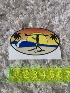 hang 10 Surf Strand Sonnenuntergang Aufkleber - Bild 1 von 1