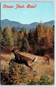 Tarjeta postal de Draw That Bow Deer Hunter in Field - Imagen 1 de 3
