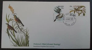 1985 Belize John Audubon Birds of the World FDC 2 stamps cd Belize City - Picture 1 of 2