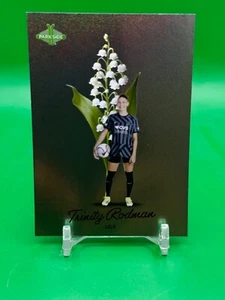 2024 NWSL Parkside Vol 1 Fiori, Shimmer, 2024, Serie Signature *Scegli l'elenco - Foto 1 di 136