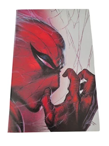 Amazing Spider-Man #800 Dell'Otto Exclusive Virgin Variant 9.2-9.4 Raw - Bild 1 von 24
