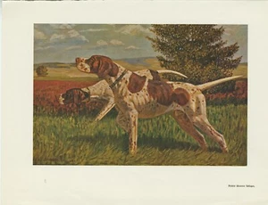 ZEIGERHUNDE ALTER DEUTSCHER BOOKSCHILDDRUCK DER 1930ER JAHRE - Bild 1 von 1