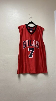 Ben Gordon #7 Chicago Bulls NBA Jersey Adult Large - Image 1 of 4