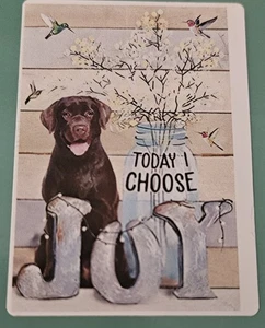 Unbranded 300 Piece Jigsaw Puzzle = Dog Lovers = Today I Choose JOY + Poster - Picture 1 of 1