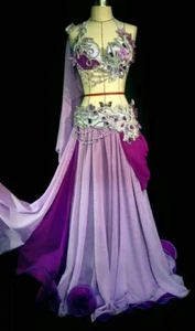 Conjunto de Disfraz de Danza del Vientre Sujetador Cinturón Cadera Bufanda Brazo Falda Bollywood Carnaval - Imagen 1 de 3