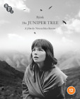 The Juniper Tree (Blu-ray) Gudrn Gsladttir Geirlaug Sunna Thormar