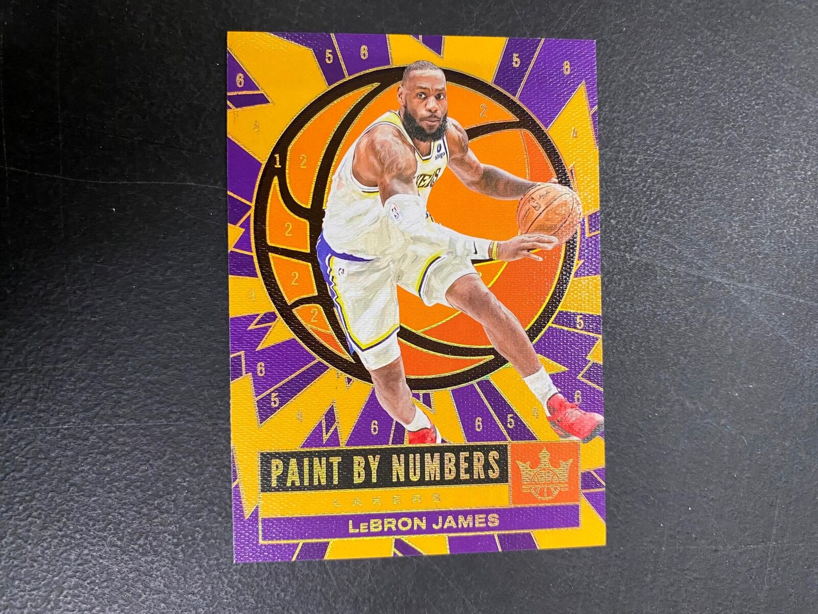 LeBron James 2023/24 Court Kings Paint By Numbers Insert #13 Lakers (CASE HIT A3