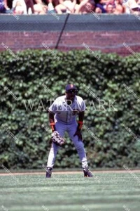 GL571 Barry Bonds SF Giants 8x10 16x20 24x36 Photo - Picture 1 of 1