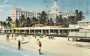 The Roney Plaza Hotel - Miami Beach, Florida Vintage Postcard - Picture 1 of 2