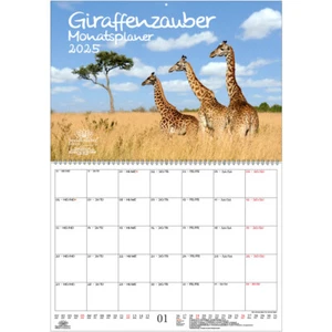Giraffenzauber Planer DIN A2 Kalender für 2025 Giraffen - Seelenzauber - Bild 1 von 1
