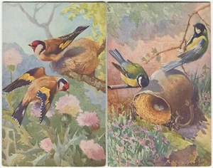 2 CARDS - BIRDS, A E KENNEDY - Postcard - Picture 1 of 2