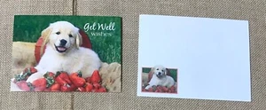 Lynn M Stone Playful Puppy Dog Get Well Card Scarpabooking Junk Journaling - Picture 1 of 5