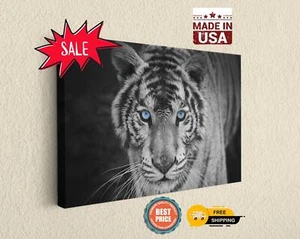 Tiger Wandbild Blaue Augen Leinwandbild Fine Art Fotografie Deko - Bild 1 von 8