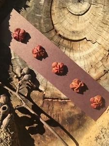 5 x Red-Orange Australian Gumnut Buttons - Handmade Natural Wood - Picture 1 of 8