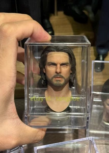 Customized 1/6 The Last Samurai: Bushidou Rooted hair Painted head In Stock - Picture 1 of 1