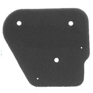 FILTRO ARIA ASPIRAZIONE IN SPUGNA NYPSO MALAGUTI CENTRO 50 1993-2000 - Imagen 1 de 1