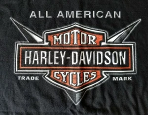 VINTAGE ALL AMERICAN DUNN HUFFMAN’S HARLEY DAVIDSON LAKELAND FL-T-SHIRT-LARGE - Picture 1 of 7