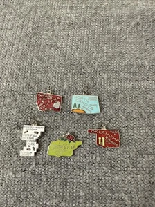 Set Of 5 Charms UNITED STATES USA TOURIST SOUVENIR ENAMEL TRAVEL - Picture 1 of 7
