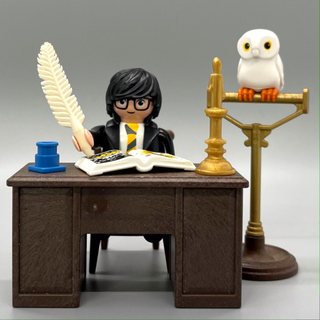 PLAYMOBIL Harry Potter Hogwarts Set Hermine Ron Quidditch Custom