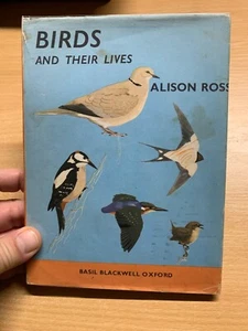 1970 1ST ED "BIRDS AND THEIR LIVES" ALISON ROSS ILLUSTRATED HARDBACK BOOK (P3) - Imagen 1 de 18