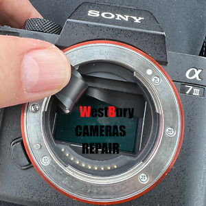 カメラ デジタルカメラ Sony Cyber-shot Sony DSC-RX10 IV Digital Cameras for sale | eBay