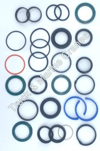 BONFIGLIOLI BONFIG CRANE P10200L EXT 2 REBUILD SPARES PARTS HYDRAULIC SEALS KIT - Picture 1 of 23