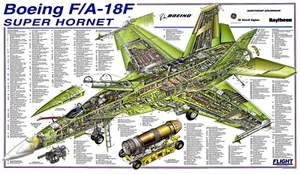 Boeing F18 Super Hornet Cutaway POSTER 24 X 18 Inches U.S. Military Aircraft - Picture 1 of 2