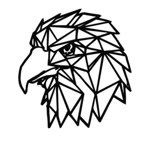 11 DXF cnc file g code gcode EAGLE laser cut plasma polygonal geometric  7017 - Imagen 1 de 24