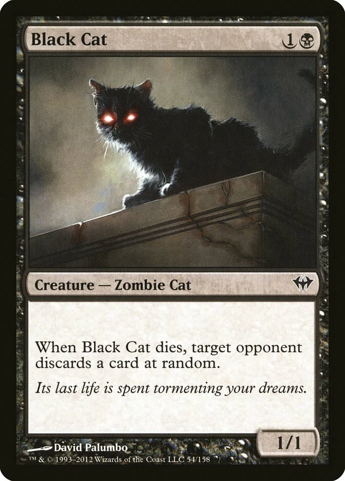 4x Black Cat - NM/LP - Dark Ascension - SPARROW MAGIC mtg - Image 1 of 1