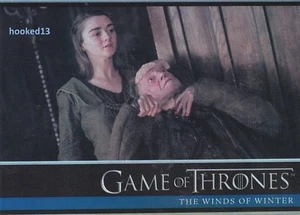 Tarjeta paralela de lámina de Juego de Tronos: Temporada 6 Vientos de Invierno - Imagen 1 de 2