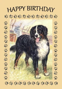 BERNER BERGHUND GROSSER GEBURTSTAGSGRUSS NOTIZKARTE  - Bild 1 von 1